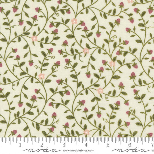 Evermore  - Lace 43151 11