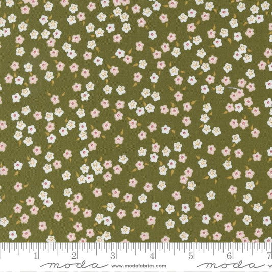Evermore  - Fern 43154 14