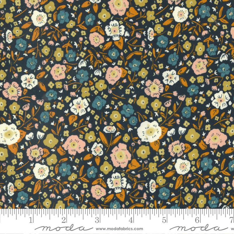 Quaint Cottage  - Midnight 48374 21