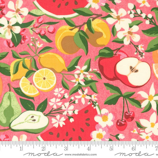 Fruit Loop Lilly Pilly 30730 12