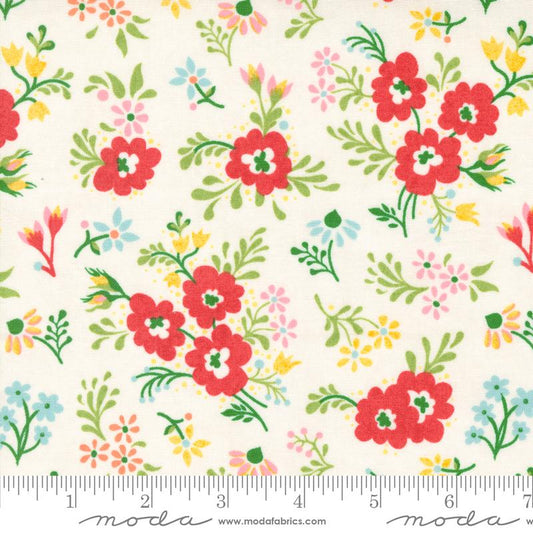 Fruit Loop Jicama 30731 11