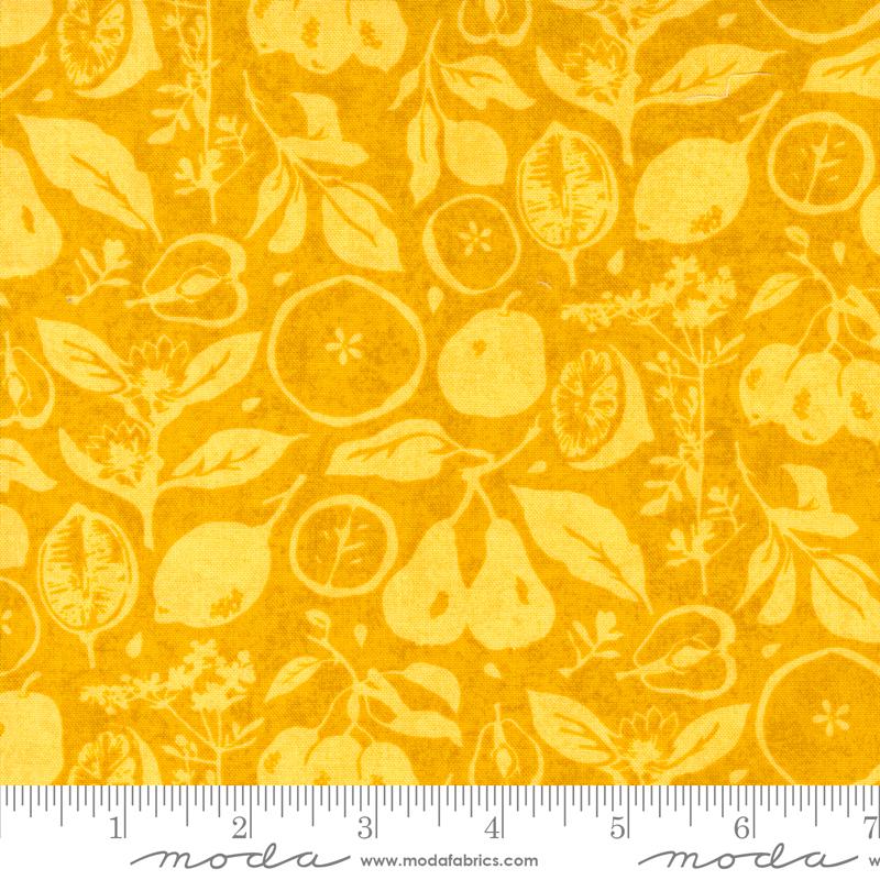 Fruit Loop Sunshine 30732 16
