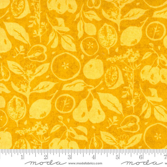 Fruit Loop Sunshine 30732 16