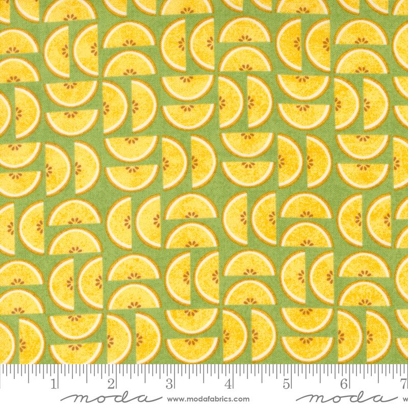 Fruit Loop Kiwi 30734 15