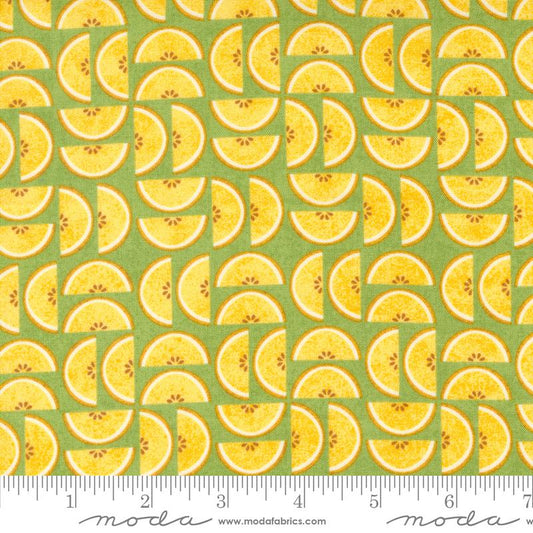 Fruit Loop Kiwi 30734 15