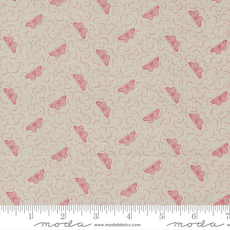 Antoinette - Smoke 13954 13