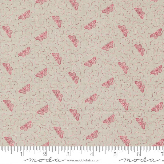Antoinette - Smoke 13954 13