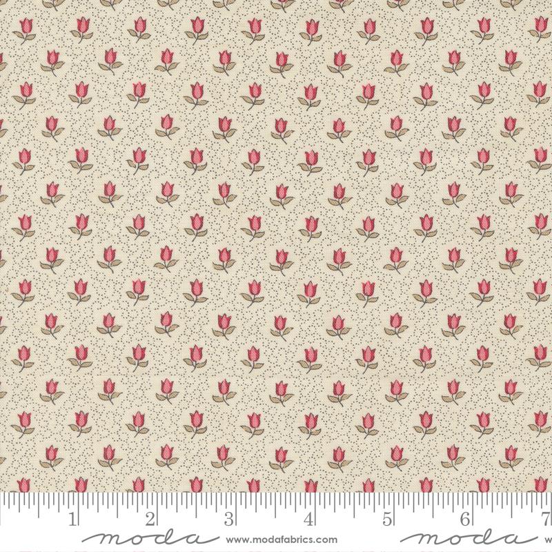 Antoinette - Pearl 13955 11