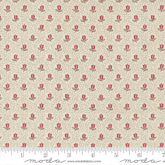 Antoinette - Pearl 13955 11