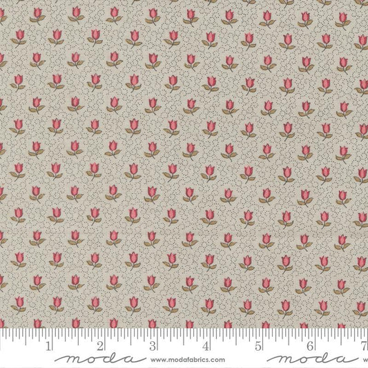 Antoinette - Smoke 13955 13