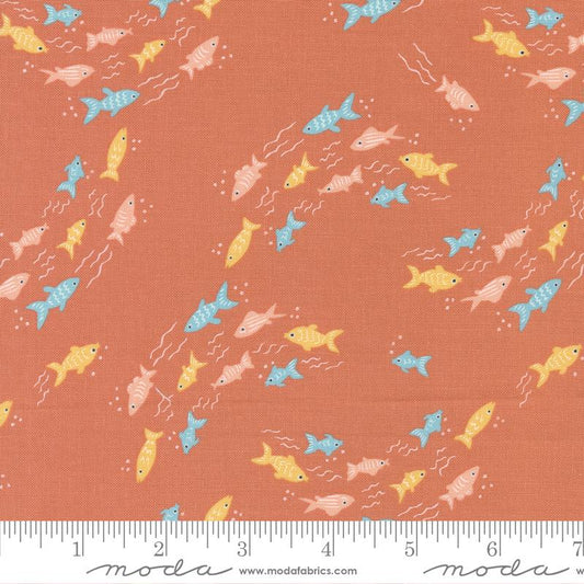 Noahs Ark - Fishy Fish Coral