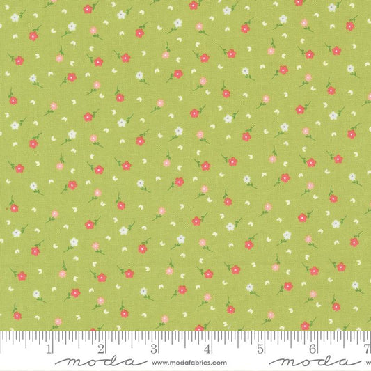 Strawberry Lemonade - Lime