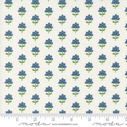 Shoreline - Cream Multi Coastal Florals