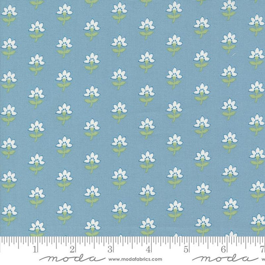 Shoreline - Light Blue Coastal Florals