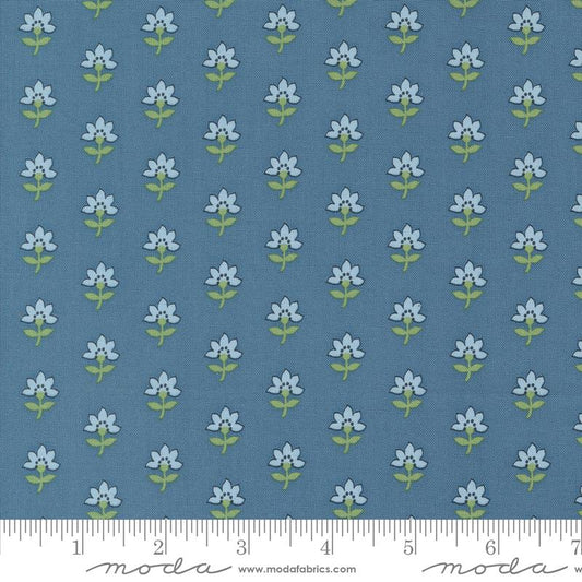 Shoreline - Medium Blue Coastal Florals