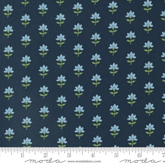 Shoreline - Navy Coastal Florals