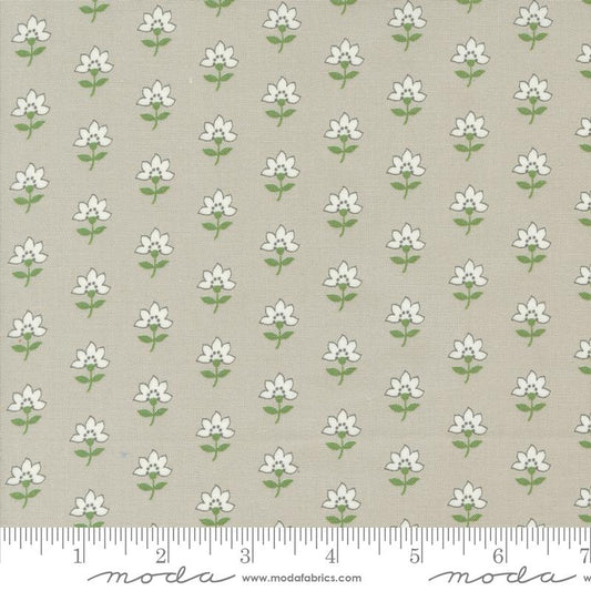 Shoreline - Grey Coastal Florals