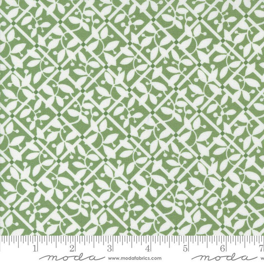 Shoreline - Green Lattice Checks and Plaids Blender