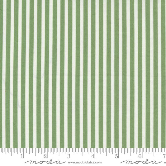 Shoreline - Green Simple Stripe Stripes