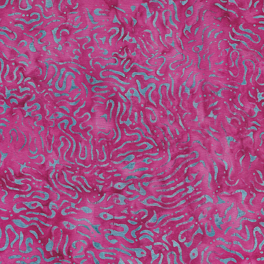 Exuberance - Coral Growth/Pink Hot Lips