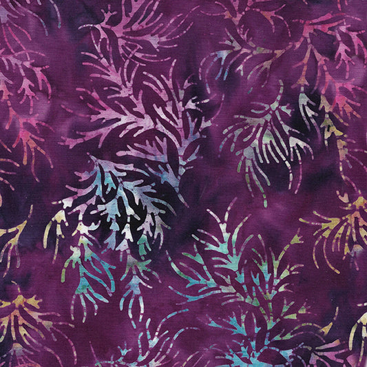 Exuberance - Fronds/Purple Pansy