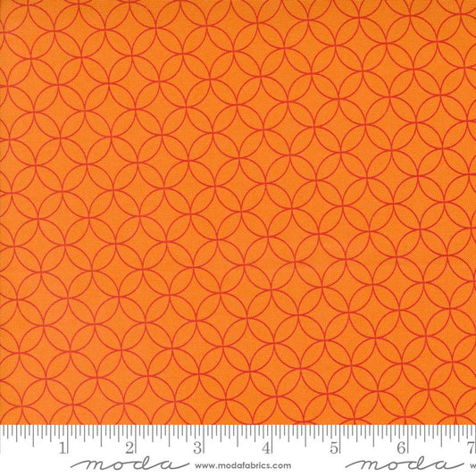 Rainbow Spice Pumpkin 45042 31 Moda #1