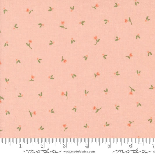 Flower Girl - Picked Ditsy (Blush)