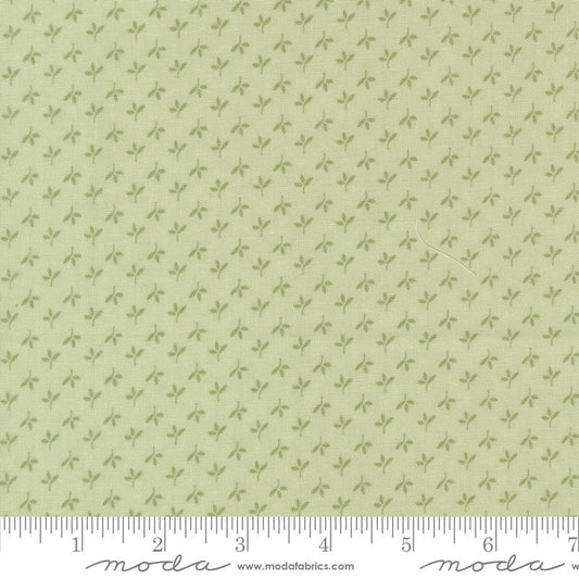 Flower Girl - Leafy Blenders (Pear)