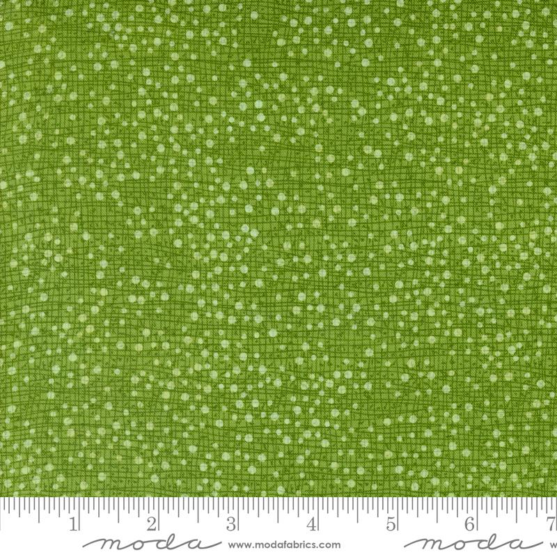 Winterly - Dotty Thatched Grass