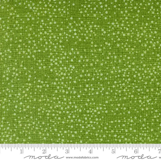 Winterly - Dotty Thatched Grass