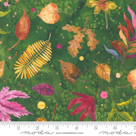 Floribunda Herb 39804 14 Moda #1