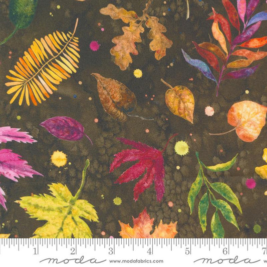 Floribunda Soil 39804 18 Moda #1