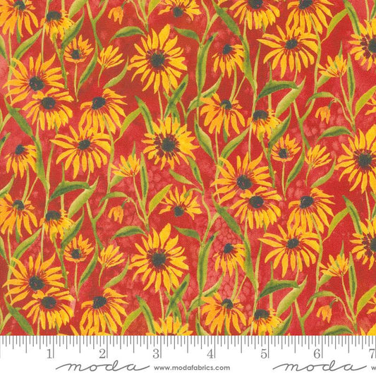 Floribunda Spice 39805 14 Moda #1
