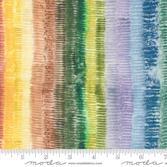 Floribunda Rainbow 39807 11 Moda #1