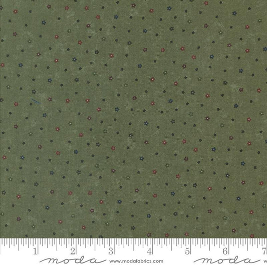 Daisy Lane Leaf 9769 15 Moda #1