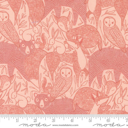 Woodland Wonder Blush 48390 18 Moda #1