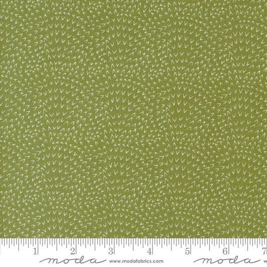 Woodland Wonder Fern 48396 19 Moda #1