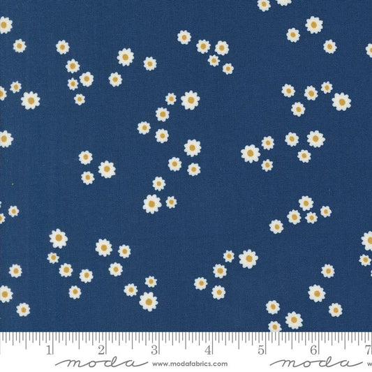 Field Of Flowers - Chamomile Small Florals Blender Indigo