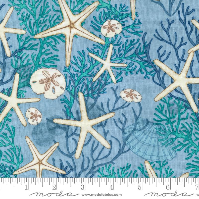 Serena Shores - Beachcomber Novelty Shells Starfish Sand Dollar Coral in Breeze