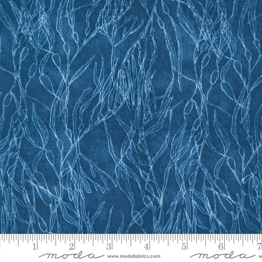 Serena Shores - Seaweeds Novelty Seaweed in Coastal