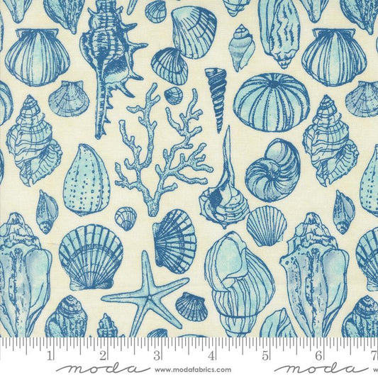 Serena Shores - Sketchy Shells Novelty Shells in Cloud