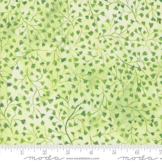 Sunshine & Blue Skies - Fine Fellow Fern Blenders Watercolor Leaf Vine Spring Green