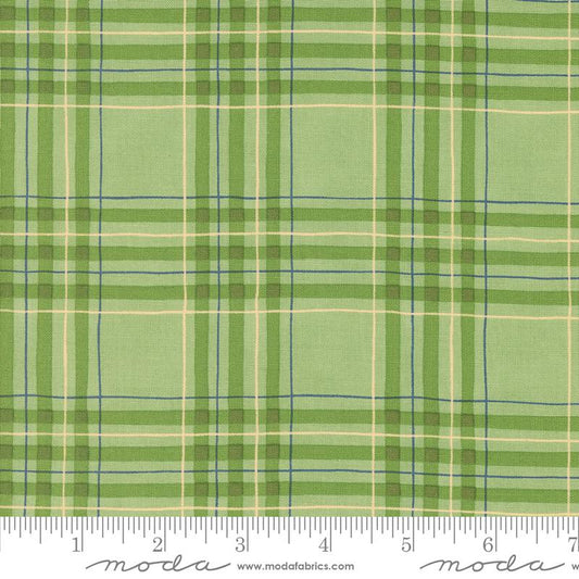 On Lake Time - Lakehouse Plaid Checks and Plaids Spring