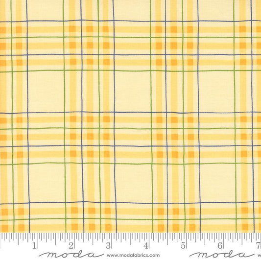 On Lake Time - Lakehouse Plaid Checks and Plaids Daisy