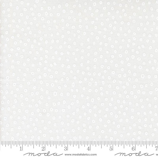 Botany - Seeds Dots Paper White