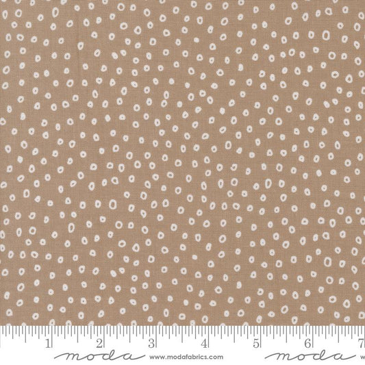Botany - Seeds Dots Earth