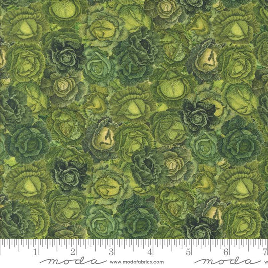 Farm And Garden - Lettuce Patch Novelty Lettuce Leafy Greens