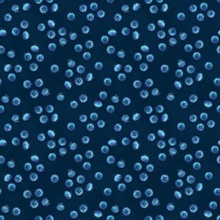 SE Squeeze the Day - Navy Blueberries