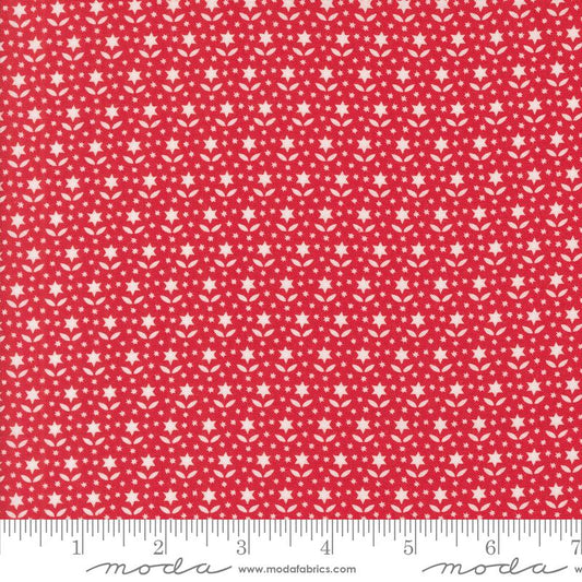 Buon Natale Pomegranate 35405 14