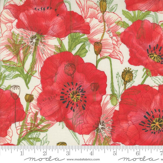 Superbloom - Poppy Large Floral Cream